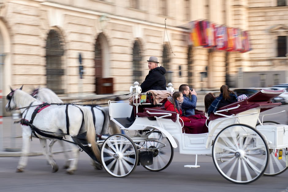 Menschen, Die Pferdekutsche Auf Der Stra&szlig;e Reiten