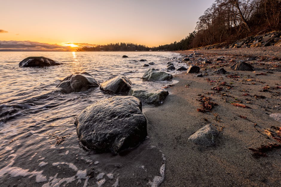 Graue Felsen An Der K&uuml;ste W&auml;hrend Des Sonnenuntergangs