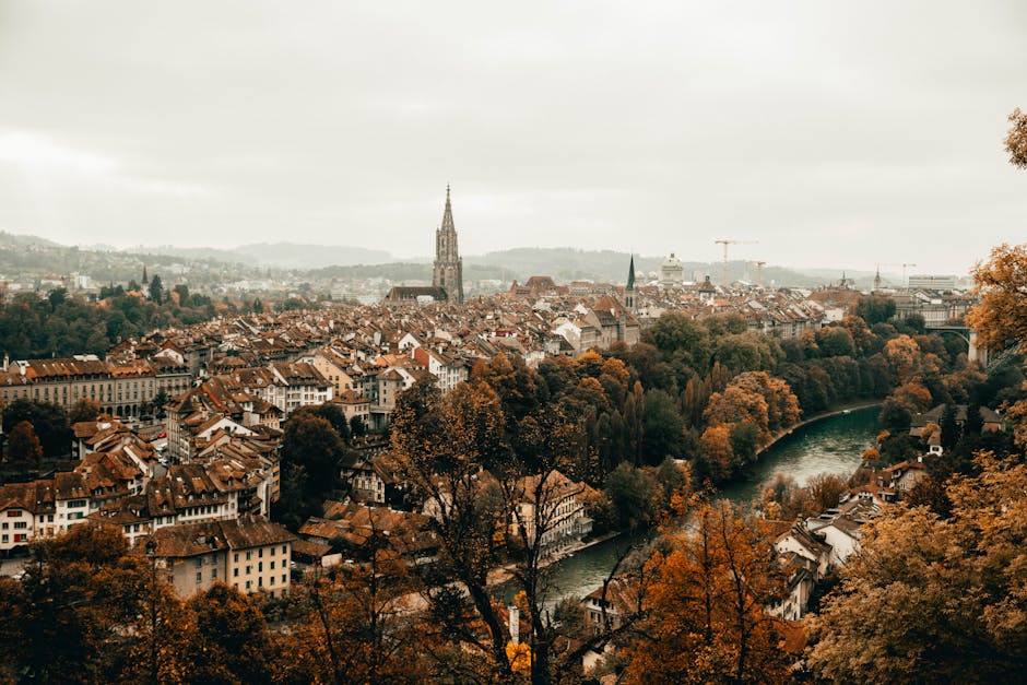 Aare fluss, altstadt, b&auml;ume