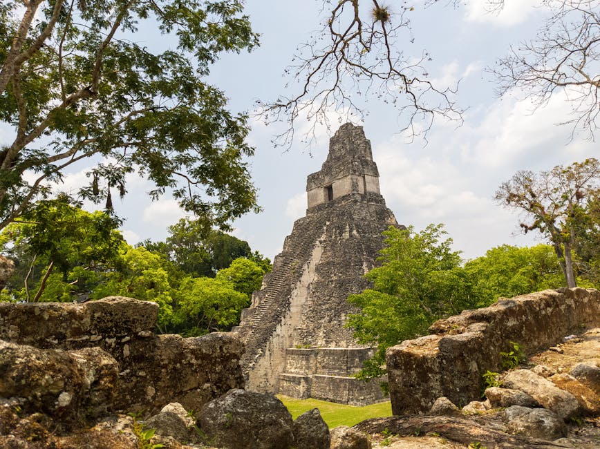 Alt, b&auml;ume, der gro&szlig;e jaguar tikal