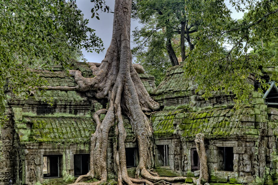 Bauen Mit Baum