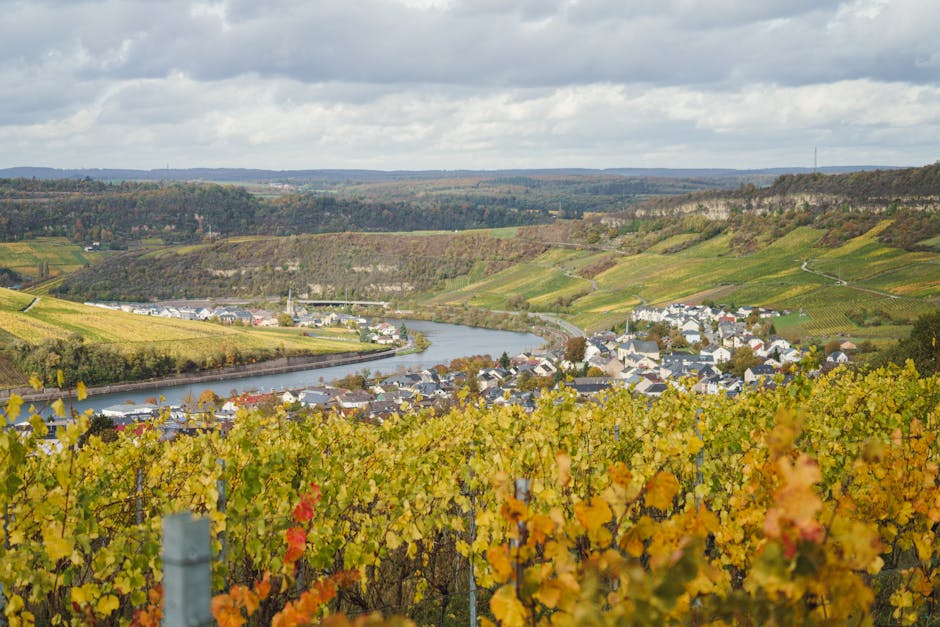 Stadt Im Ruhigen Gr&uuml;nen Tal