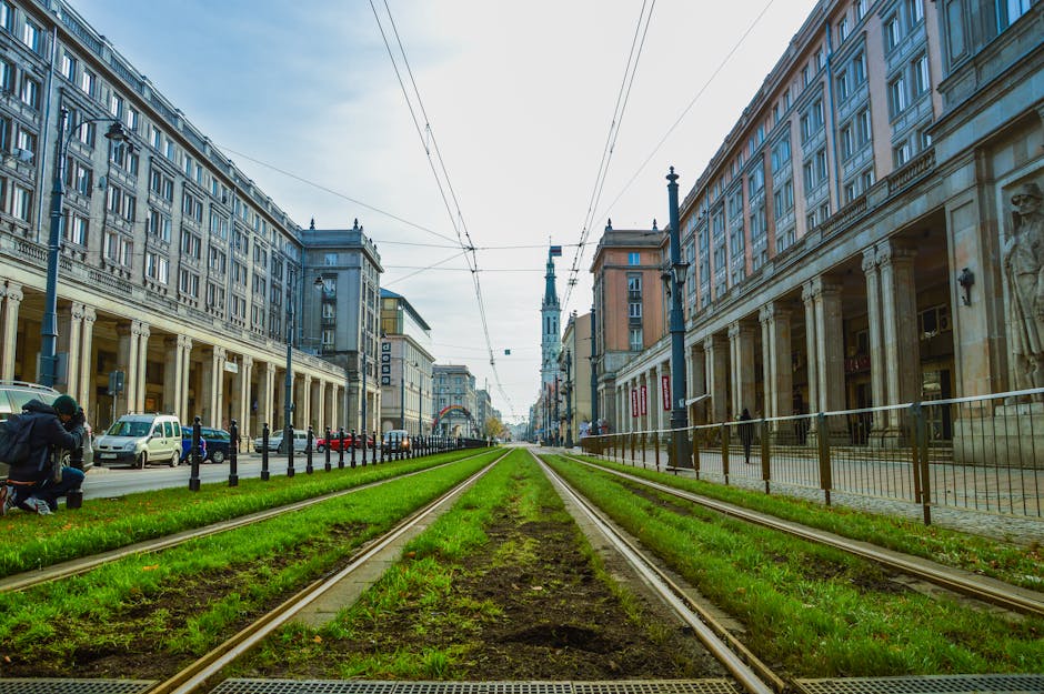 Gr&uuml;nes Gras Zwischen Betongeb&auml;uden