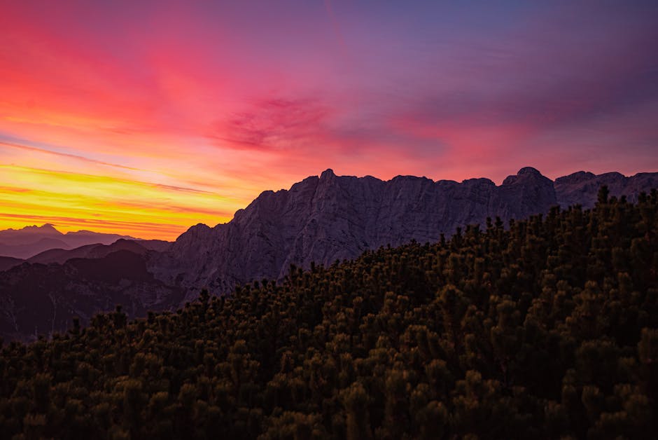 Gr&uuml;ne B&auml;ume Nahe Berg W&auml;hrend Sonnenuntergang